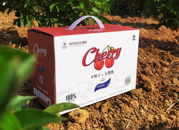 櫻桃、車(chē)厘子禮盒